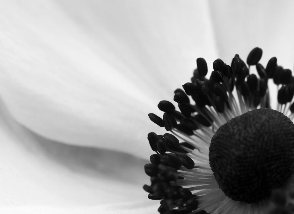 Botanical
