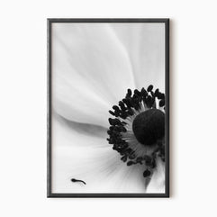 0087