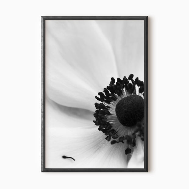 0087
